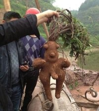 Без воображения тут делать нечего...