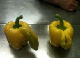 Без воображения тут делать нечего...