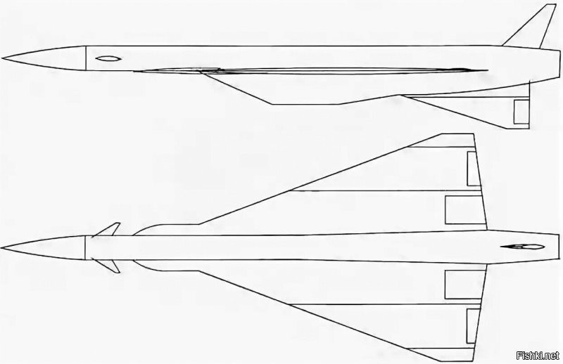 Аффтор идиот! 3М-25 "Метеорит" (П-750) стратегическая универсальная крылатая ракета, разработанная  «НПО Машиностроения» (в те годы - «ЦКБ машиностроения») под руководством В.Н. Челомея.
Правительственным постановлением от 9 декабря 1976 г. коллективу «НПО Машиностроения» (в те годы - «ЦКБ машиностроения») под руководством В.Н. Челомея была поручена разработка сразу двух унифицированных по ракете комплексов – авиационного «Метеорит-А» и корабельного «Метеорит-М». Испытания последнего проводились с конца 1983 г. с подводной лодки К-420 пр. 667М («Андромеда») переоборудованной из стратегического ракетоносца пр. 667А. Кроме того, прораба-тывался и подвижный наземный комплекс с ракетой «Метеорит».
Унификация с размещаемыми в тесных пусковых установках ракетами подводного и наземного стартов определила применение и на авиационным изделии складывающихся крыла и подфюзеляжного киля, при этом крыло значительной площади, необходимой для по лета на большой высоте, складывается троекратно.
В целом компоновочная схема «Метеорита» представляется близкой к Ту-144 - треугольное крыло, подфюзеляжный воздухозаборник, дополнительные аэродинамические плоскости в носовой части. Особенности эксплуатации и применения определили некоторые отличия по компоновочной схеме - нижнее расположение киля с рулем на правления, размещение единственного двигателя по оси фюзеляжа.
Демонстрировавшийся в этом году макет радовал глаз как благородством форм, так и тщательностью изготовления. Белая окраска, по-видимому, указывает на нанесение на поверхность ракеты специального покрытия. Правда, при виде макета возникает вопрос: почему он явно не соответствует уже опубликованным фотографиям «Метеорита» в момент сброса с Ту-95МА и на наземных стендах? Макет выполнен по схеме «утка», в то время как пред ставленные на фотографиях изделия помимо подфюзеляжного киля снабжены обычным хвостовым оперением, да и фюзеляж у них явно длиннее. Но сотрудники реутовского предприятия традиционно немногословны...
Пуски авиационного варианта ракеты с самолета Ту-95МА начались 11 января 1984 г. 
К сожалению, начало летных испытаний «Метеоритов» было омрачено многочисленными авариями, в ряде случаев вызванными досадными производственными дефектами, не носящими принципиальный характер. Постепенно недостатки устранили. Были проведены вполне успешные пуски, но время уже было упущено. С середины 1980-х гг. в СССР начался политико-экономический кризис. Ситуация ухудшилась в связи с тем, что в 1984 г. скончался В.Н. Челомей. Кроме того, мотивированные возражения вызывала сама концепция относительно крупной высотной скоростной крылатой ракеты. Даже при реализации разнообразных мер противодействия представлялось проблематичным обеспечить ее прорыв к прикрываемой современными системами ПВО цели. К 1989 г. работы по «Метеориту» прекратились.
В последнее время в печати высказывались предположения о том, что при выходе России из Договора о ликвидации ракет средней и меньшей дальности работы по «Метеориту» могут быть продолжены. Но, во-первых, этот договор ничем не ограничивал со здание и развертывание комплексов «Метеорит-М» и «Метеорит-А». Во-вторых, даже по высказываниям ряда сотрудников «НПО машиностроения», целесообразней не пытаться возобновить работу, прерванную два десятилетия назад, а осуществить новую разработку, комплексно реализовав в ней все новейшие достижения, в первую очередь в части миниатюризации комплектующих приборов, систем и агрегатов.

От себя добавлю, макет "Метеорита" я видел в Жуковском на Аэрошоу в 2007 году.