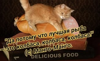 Калейдоскоп позитива. Выпуск 102