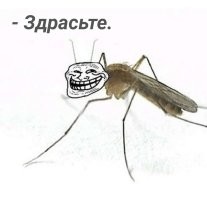 Калейдоскоп позитива. Выпуск 102