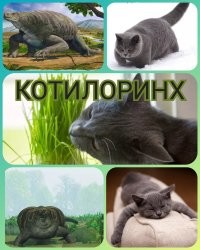 Калейдоскоп позитива. Выпуск 102