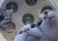 Наташа, открой глаза, ты в реанимации! Открывай глаза, Наташ, врачи здесь всё уронили!