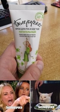 Мемы с котом, который каламбурит по полной