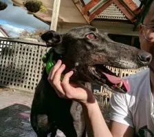 Показалось: 20+ фото, на которые стоит взглянуть дважды