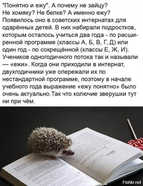 Интересно, о каком периоде идет речь?
Если о физмат школах Ноаосибирского академгородка, начала 60-х годов, то мимо. Фраза "ясно даже и ежу" использовалась еще Маяковским в 20-х и у кого-то мелькала еще, сейчас уж не вспомню...


Интересно, о каком периоде идет речь?