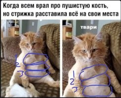 Всё на месте