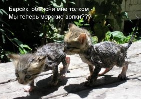 Маленький рыболов с добычей