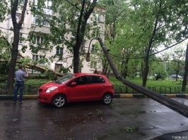 Жены машина