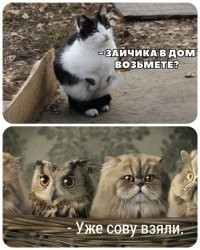 Не ищите здесь смысл. Здесь в основном маразм