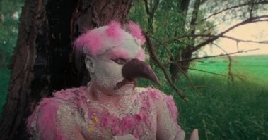 К №10 дружок...