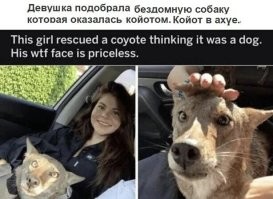 Калейдоскоп позитива. Выпуск 103
