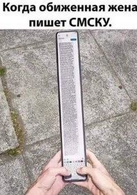 Неплохая модель. Только корпус надо делать из толстой дюрали, чтоб от собак и прочих отбиваться, мощный фонарь, шокер и, соответственно аккумулятор побольше