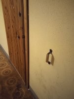 Каждый день что-нибудь новенькое: двери
