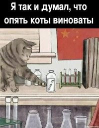 Смешные и познавательные картинки