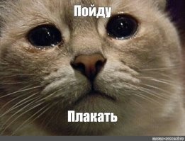 Калейдоскоп позитива. Выпуск 104