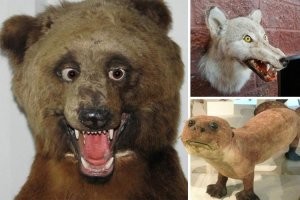 А что не так с №18?? Клёвое чучелко! По сравнению вот с этим - просто чудо :)