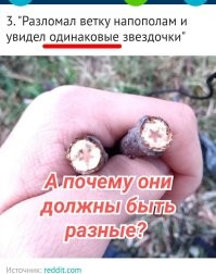 33 занятных фото, которыми поделились пользователи сети