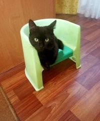Мой залюбил спать в детском горшке)