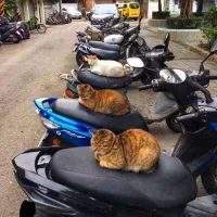 сидения с подогревом