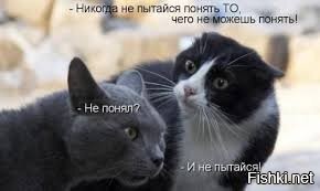 (Я тоже не понял)