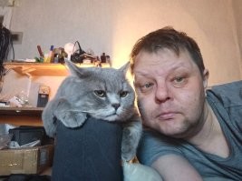 17 раз, когда кошки не хотели быть героями селфи