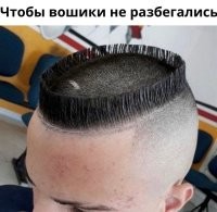 Как фантастично выглядят обычные вещи под микроскопом