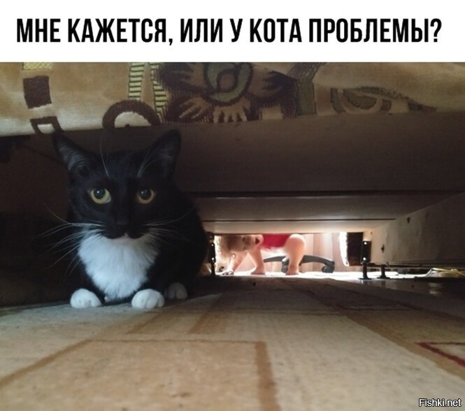 Это еще не проблемы!
У нас котэ от повышенного внимания киндера, в угловом диване, сзади в углу, оторвал обивку и залезал  во внутрь дивана.
Выяснилось, когда скво лежала дремала и вдруг услышала, что кто-то прям под ухом кряхтит, храпит и сопит, старичок  наш.
Но вначале был шок и ужас на уровне полтергейса