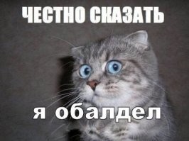 Хороший улов юного рыбака