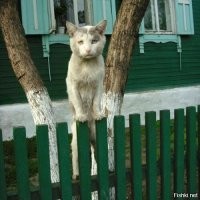 Беда, печаль.