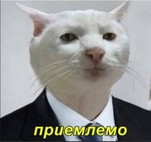 Судя по минусам