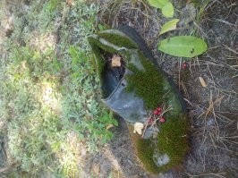 Брошенные объекты, найденные во время прогулки по лесу