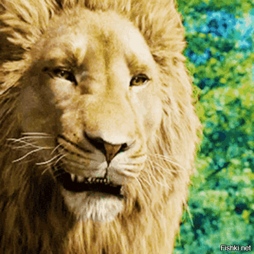 Странные вещи, доказывающие, что модные безумства не знают границ