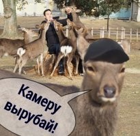 Камеру убери: воинственный глухарь прогнал туриста