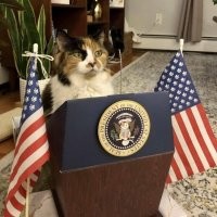 Именно такой президент нужен америкосам