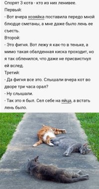 Всё о лени... и даже немного больше