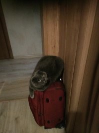 Присядем на дорожку.