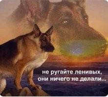 Всё о лени... и даже немного больше