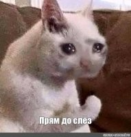 Скрины из соцсетей