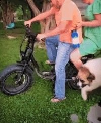 "Ты так хочешь сказать, что я толстая?!?"