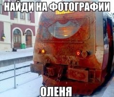 а был бы на электросамокате поехал бы дальше на электричке