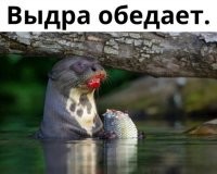 Эт ж наша бухгалтерия.