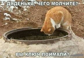 Смешные комментарии из&nbsp;социальных сетей-57