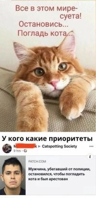 Смешные и познавательные картинки