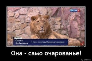 Фатально вышло: всё об ошибках