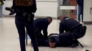 Смешные и познавательные картинки