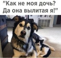 Методики установления отцовства, которые использовали в СССР