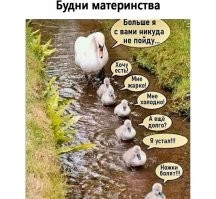 Прям в точку!! УАХАХА!!
Отец троих детей. по выходным всегда гулять ходим пешком в интересные места: мост через лог, пожарная часть, ЖД вокзал, здание не достроеное. Потом начинается это самое))
Старшему(7лет) показал картинку: не кого не напоминает?? Прочитал, за улыбался, понял)))