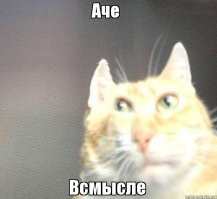 Всё вразнобой