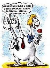 Смешные и познавательные картинки